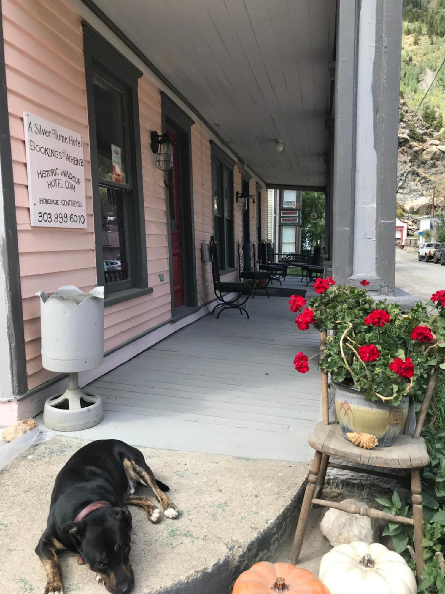 Bed and Breakfast Historic Windsor Silver Plume Экстерьер фото