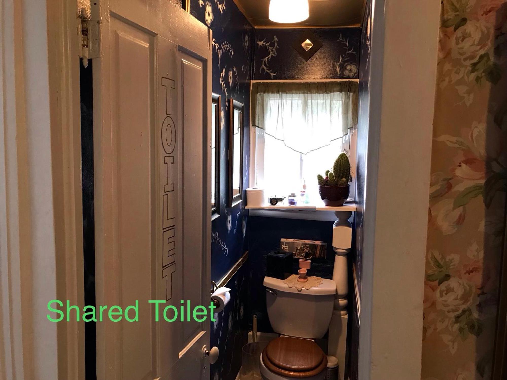 Bed and Breakfast Historic Windsor Silver Plume Экстерьер фото